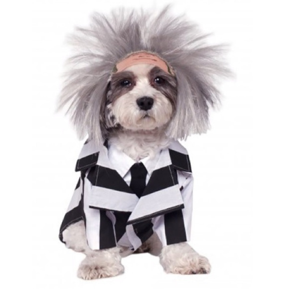 🚨2/$10🚨 Beettlejuice Pet Costume